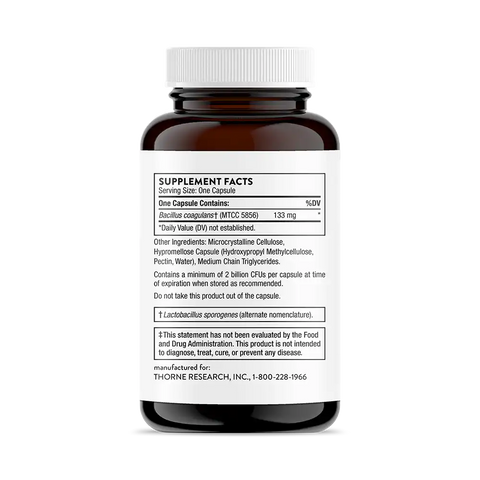 Bacillus Coagulans