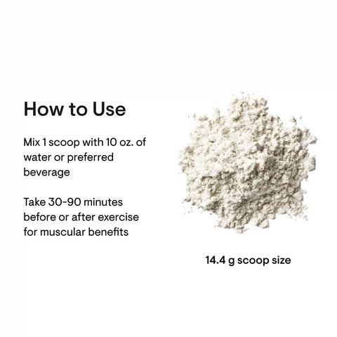 Creatine + BCAAs