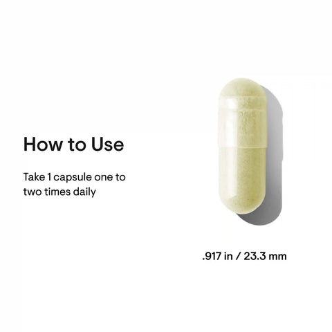 Broccoli Seed Extract